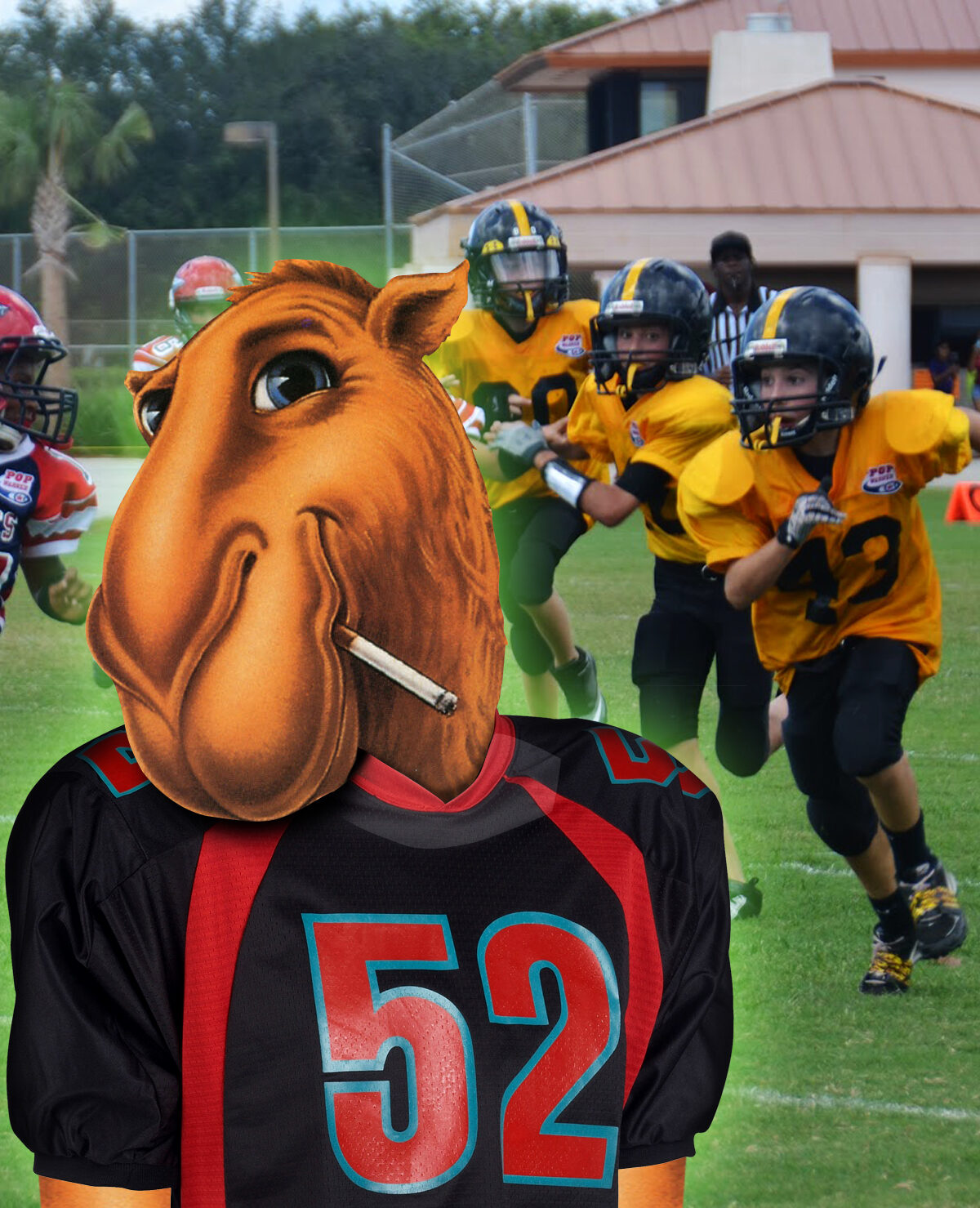 NFL & Big Tobacco:Not so different!